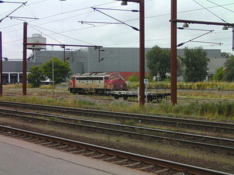 ringsted 2010 029